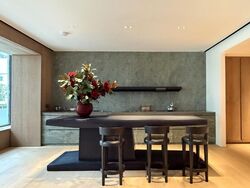 21 Anderson (D10), Condominium #517249121